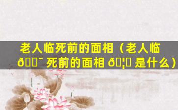 老人临死前的面相（老人临 🐯 死前的面相 🦉 是什么）